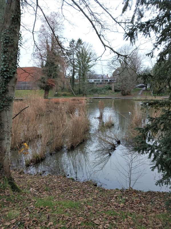 West Lavington Christmas walk on 15th December 2021 Midhurst Footpath